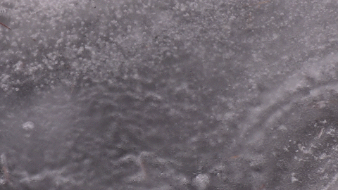 Vallember im Februar Unter dem Eis fliessendes Wasser